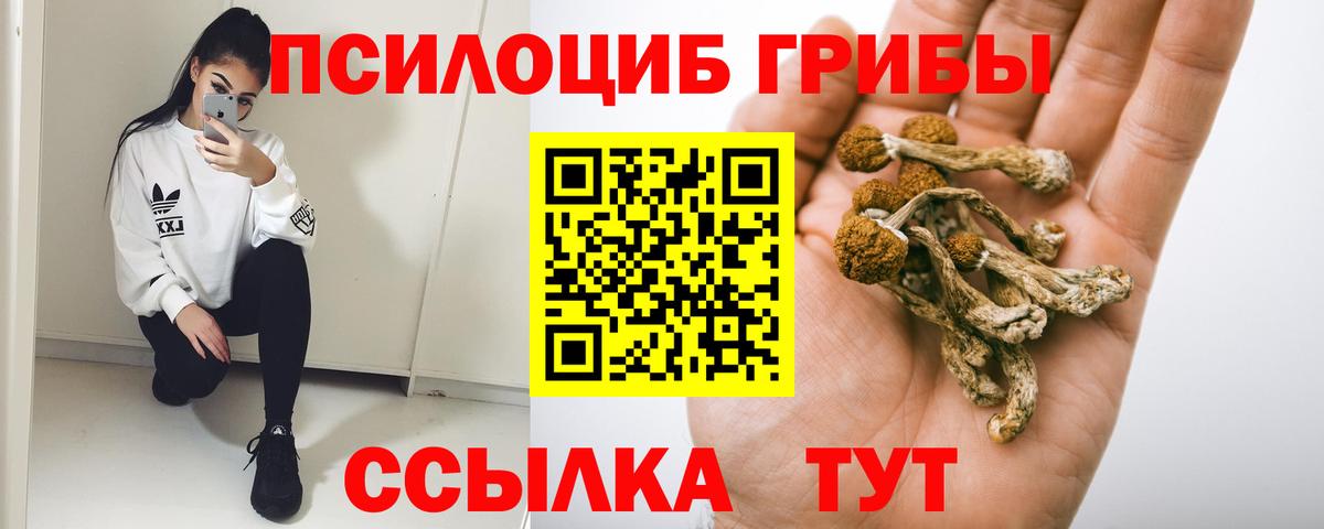 Галлюциногенные грибы мицелий Лобня